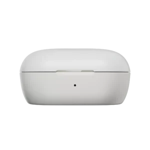 Bose QuietComfort Earbuds Charging Case